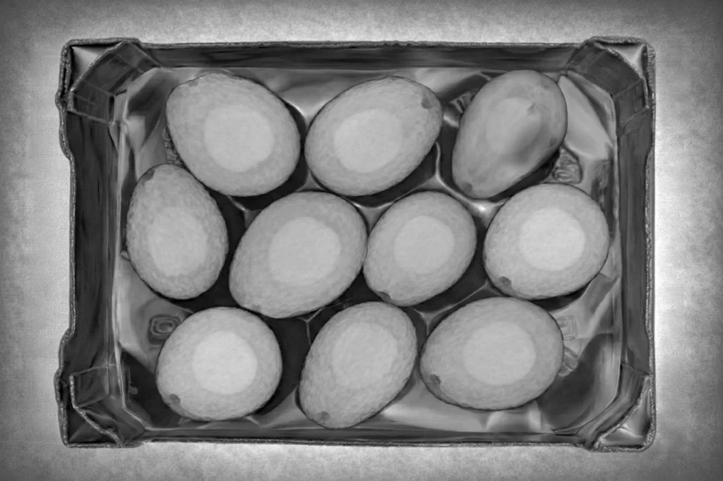 Homepage Slider_Avocados